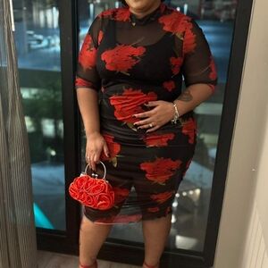 Women's Sheer Floral Print Collar Dress